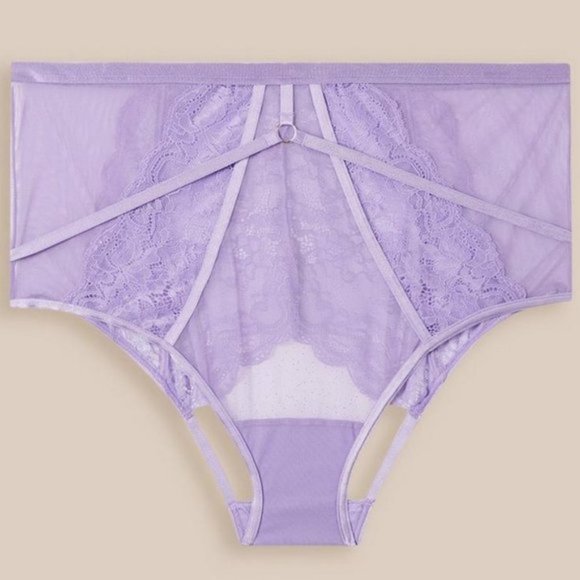 torrid Other - NWT Torrid Lace High Waist Cheeky Panty With Open Backside size 4